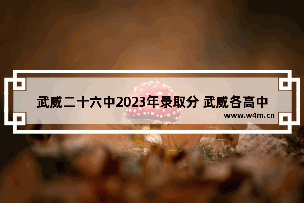 武威二十六中2023年录取分 武威各高中高考分数线