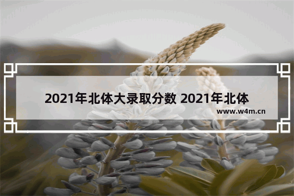 2021年北体大录取分数 2021年北体高考分数线