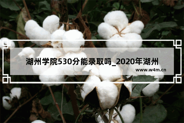 湖州学院530分能录取吗_2020年湖州中考录取分数线