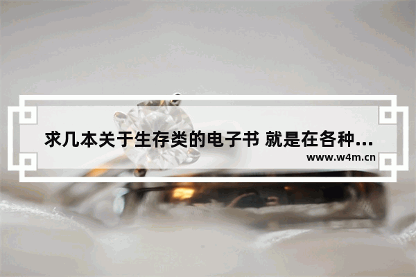 求几本关于生存类的电子书 就是在各种游戏或电影中来回穿越完成任务 才能够生存的小说 电脑游戏推荐真实生存类