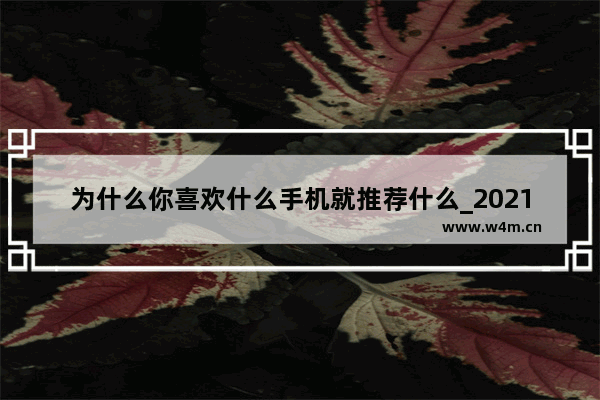 为什么你喜欢什么手机就推荐什么_2021年12月份什么手机值得购买