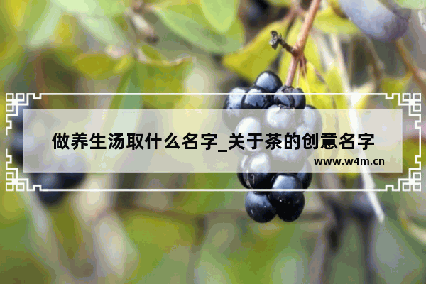 做养生汤取什么名字_关于茶的创意名字