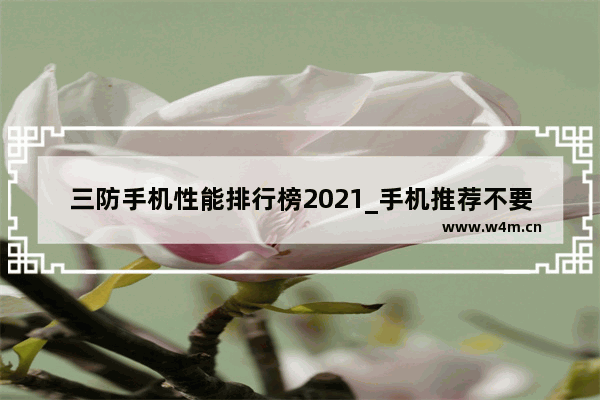 三防手机性能排行榜2021_手机推荐不要求性能