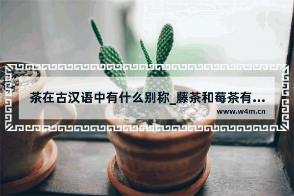 茶在古汉语中有什么别称_藤茶和莓茶有什么区别