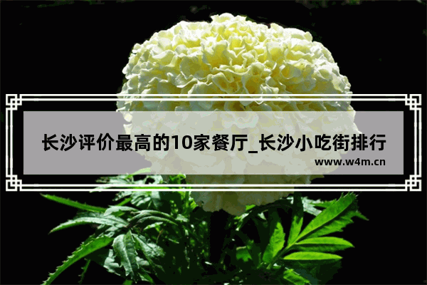 长沙评价最高的10家餐厅_长沙小吃街排行榜前十名