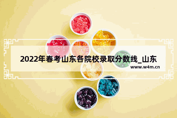 2022年春考山东各院校录取分数线_山东春考多少分可以考上公办本科