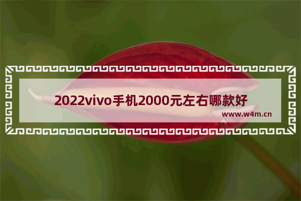 2022vivo手机2000元左右哪款好 两千块手机推荐哪款