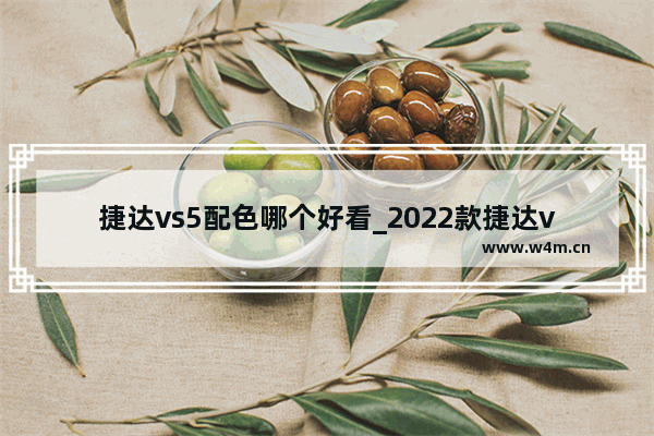 捷达vs5配色哪个好看_2022款捷达vs5哪个颜色好看