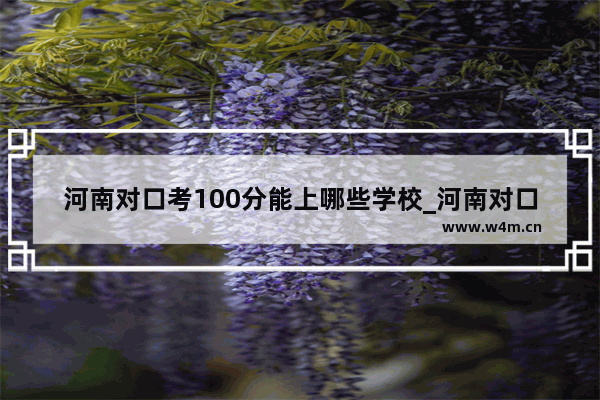 河南对口考100分能上哪些学校_河南对口290分能上什么专科