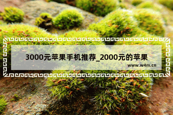 3000元苹果手机推荐_2000元的苹果12是不是真的