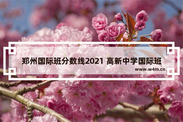 郑州国际班分数线2021 高新中学国际班高考分数线