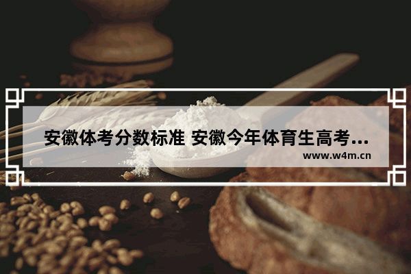 安徽体考分数标准 安徽今年体育生高考分数线