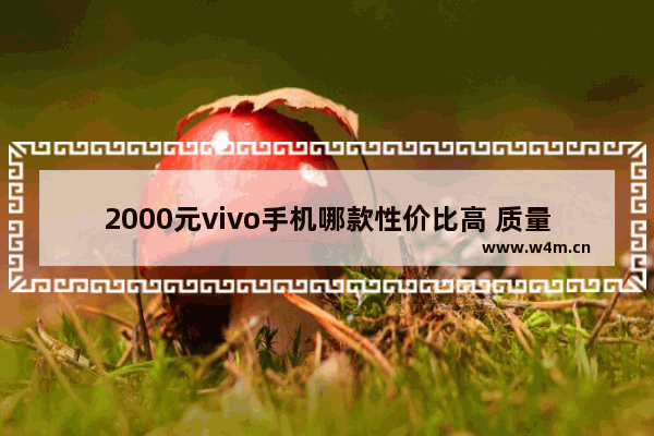 2000元vivo手机哪款性价比高 质量好2021年 两千元手机推荐一款最好