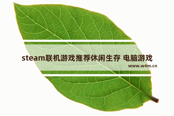 steam联机游戏推荐休闲生存 电脑游戏推荐免费联机不是steam