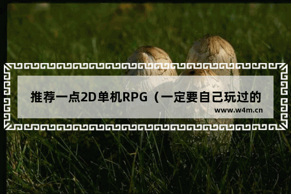 推荐一点2D单机RPG（一定要自己玩过的） 电脑游戏推荐联机3a大作