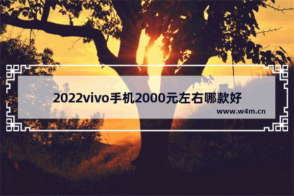 2022vivo手机2000元左右哪款好 两千价位手机推荐女生用哪款