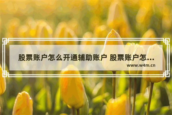 股票账户怎么开通辅助账户 股票账户怎么开通辅助账户