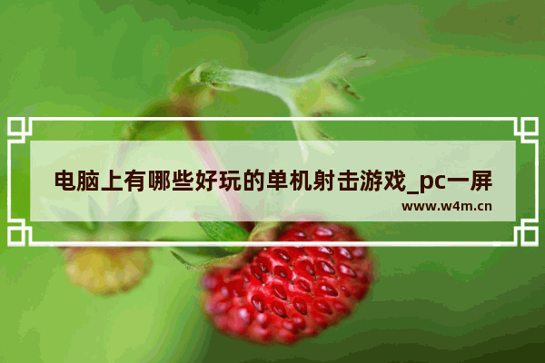 电脑上有哪些好玩的单机射击游戏_pc一屏多人的射击单机游戏