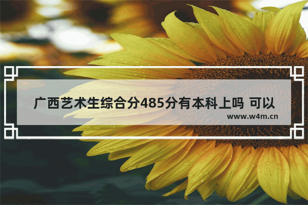 广西艺术生综合分485分有本科上吗 可以不报艺校吗高考分数线