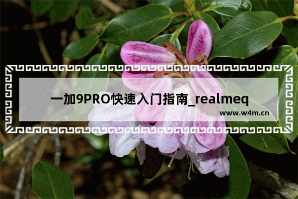 一加9PRO快速入门指南_realmeq3s新手使用教程