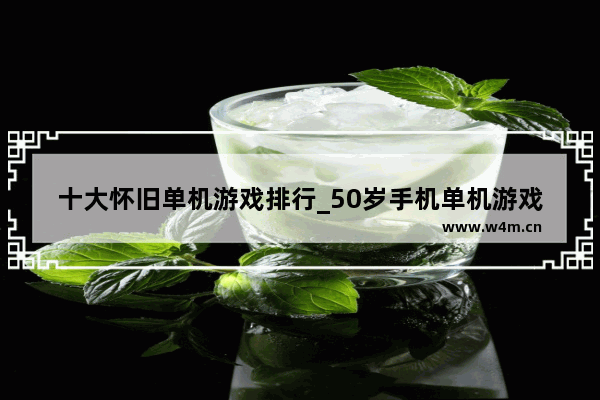 十大怀旧单机游戏排行_50岁手机单机游戏排行榜