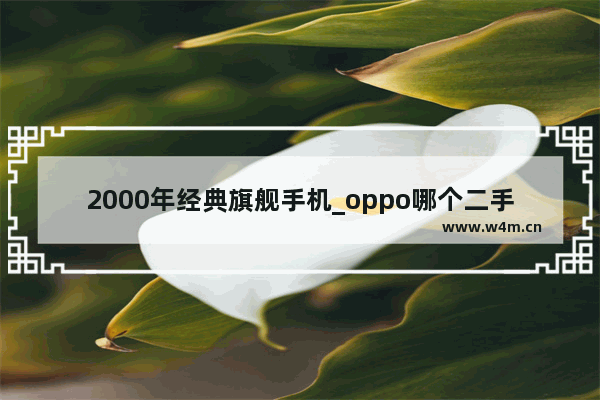 2000年经典旗舰手机_oppo哪个二手手机现在最便宜