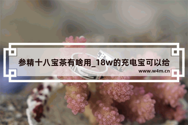 参精十八宝茶有啥用_18w的充电宝可以给40w快充的手机充电吗