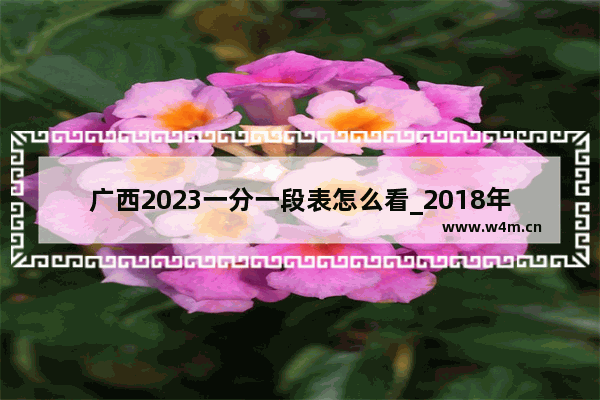 广西2023一分一段表怎么看_2018年广西高考分数线