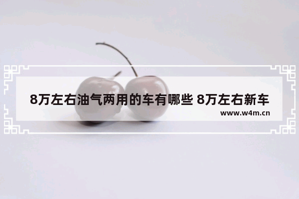 8万左右油气两用的车有哪些 8万左右新车推荐国产车型有哪些