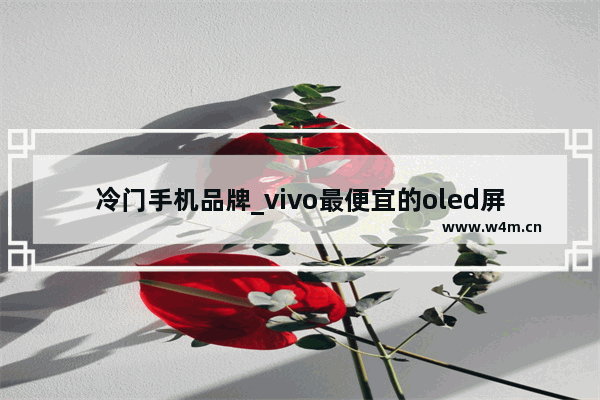 冷门手机品牌_vivo最便宜的oled屏幕手机