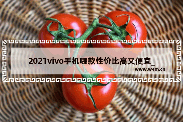 2021vivo手机哪款性价比高又便宜_在哪个平台买手机又便宜又靠谱