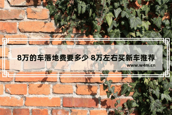 8万的车落地费要多少 8万左右买新车推荐哪款车型呢