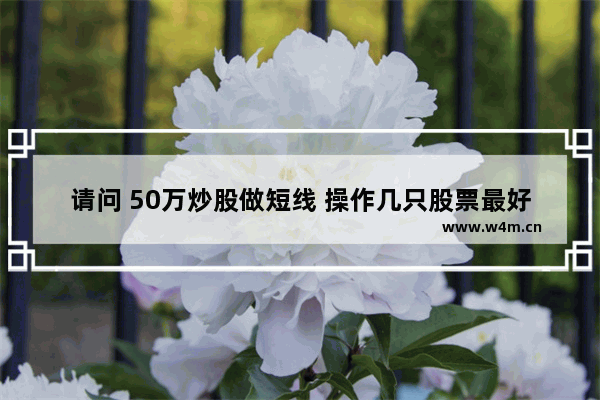 请问 50万炒股做短线 操作几只股票最好 什么股票适合短线操作