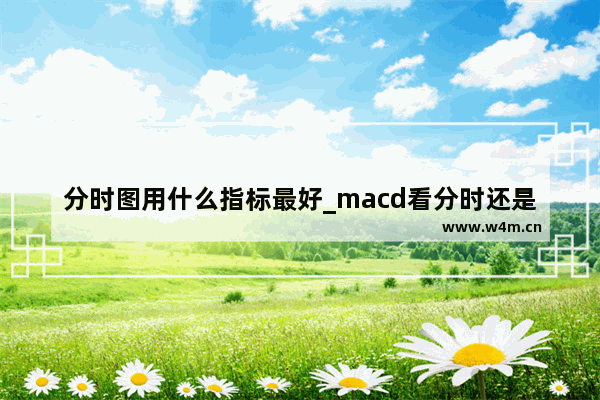 分时图用什么指标最好_macd看分时还是日k