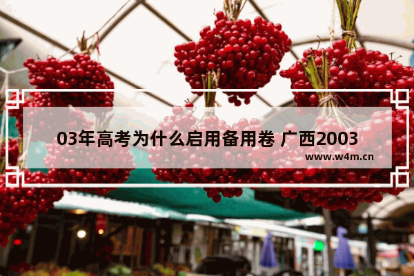 03年高考为什么启用备用卷 广西2003年高考分数线