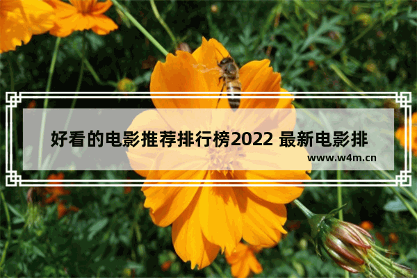 好看的电影推荐排行榜2022 最新电影排行表前十排名榜