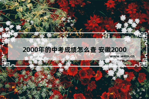 2000年的中考成绩怎么查 安徽2000年高考分数线