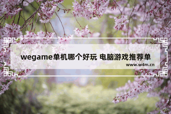 wegame单机哪个好玩 电脑游戏推荐单机可联机