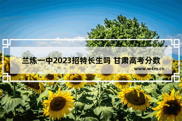 兰炼一中2023招特长生吗 甘肃高考分数线特长生