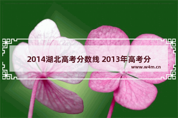 2014湖北高考分数线 2013年高考分数线湖北