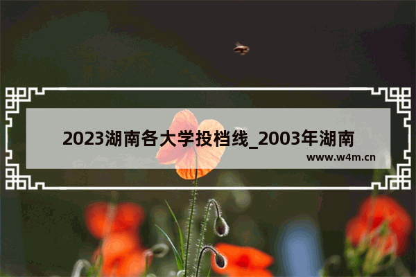 2023湖南各大学投档线_2003年湖南省高考录取分数线