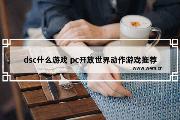 dsc什么游戏 pc开放世界动作游戏推荐