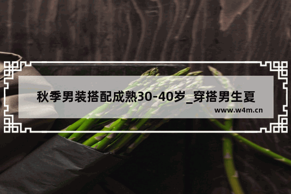 秋季男装搭配成熟30-40岁_穿搭男生夏季轻熟风