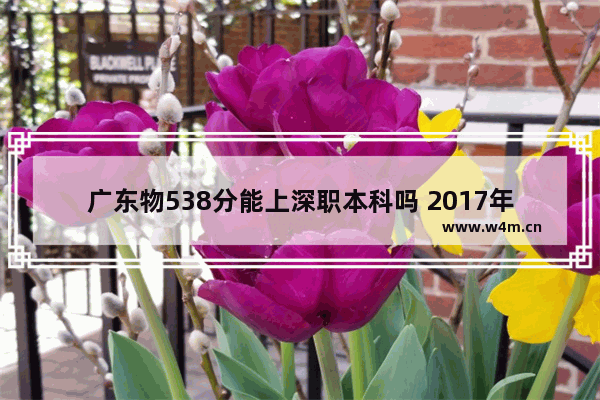 广东物538分能上深职本科吗 2017年深职高考分数线