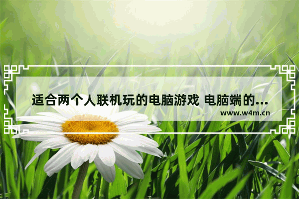 适合两个人联机玩的电脑游戏 电脑端的联机游戏推荐有哪些