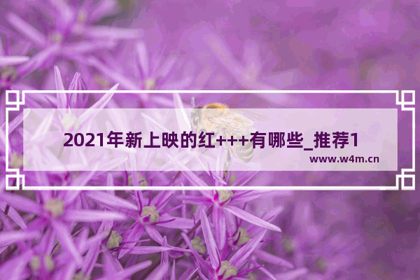 2021年新上映的红+++有哪些_推荐10部超级超级好看的电视剧