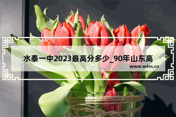 水泰一中2023最高分多少_90年山东高考分数线