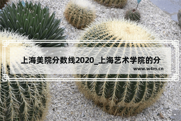 上海美院分数线2020_上海艺术学院的分数录取线是多少?要具有什么条件