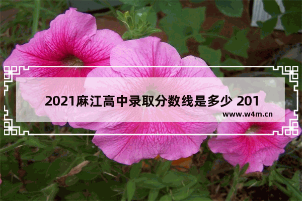 2021麻江高中录取分数线是多少 2018麻江县高考分数线