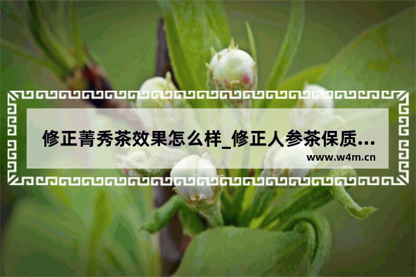 修正菁秀茶效果怎么样_修正人参茶保质期多久